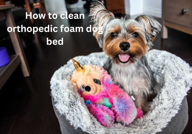 How to clean orthopedic foam dog bed
