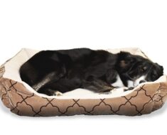 Orthopedic dog bed amazon