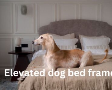 Elevated dog bed frame