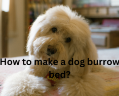 How to make a dog burrow bed?