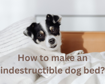 How to make an indestructible dog bed?