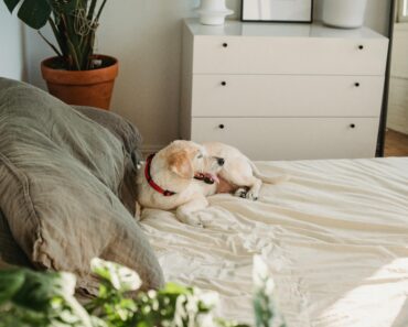 How to sew a dog bed cover?