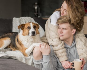 How to get my dog to stop chewing his bed?