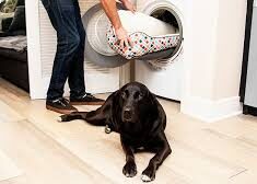 How to wash dog bedding in washing machine?